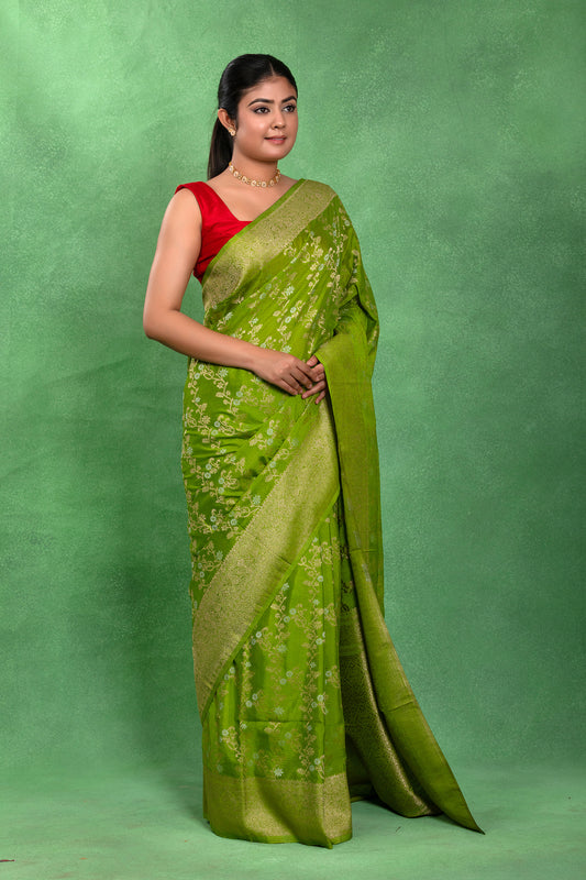 Hariyali Breeze — Banarasi Khaddi Chiffon Saree