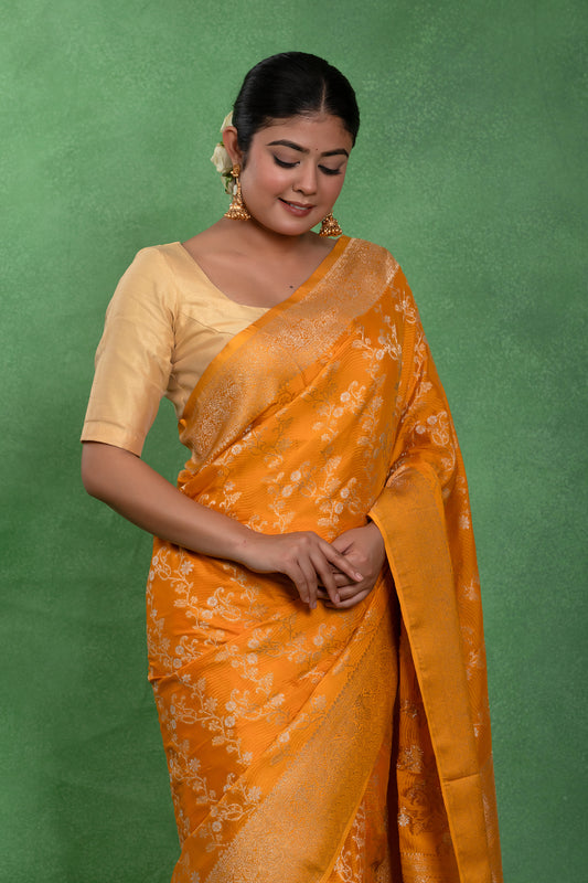 Pehli Dhoop – Banarasi Khaddi Chiffon Saree
