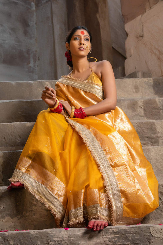 Ethereal Radiance — Organza Handwork Saree