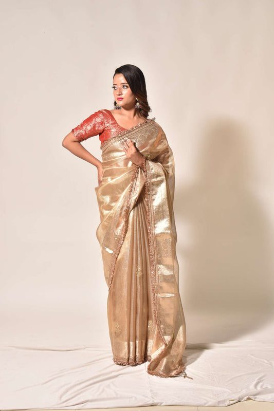 Shadow Elegance – Banarasi Tissue Handwork Saree