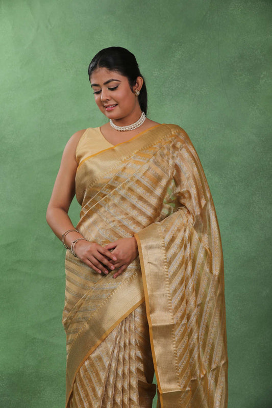 Sunehri Kiran – tissue Silk Banarasi Saree