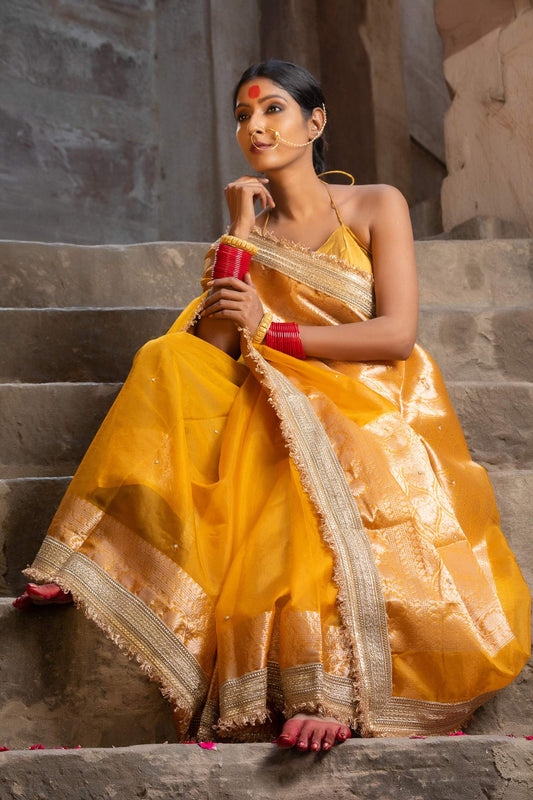 Ethereal Radiance — Organza Handwork Saree