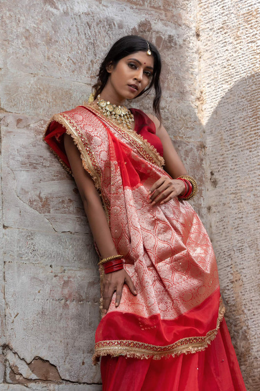 Ethereal Radiance — Organza Handwork Saree