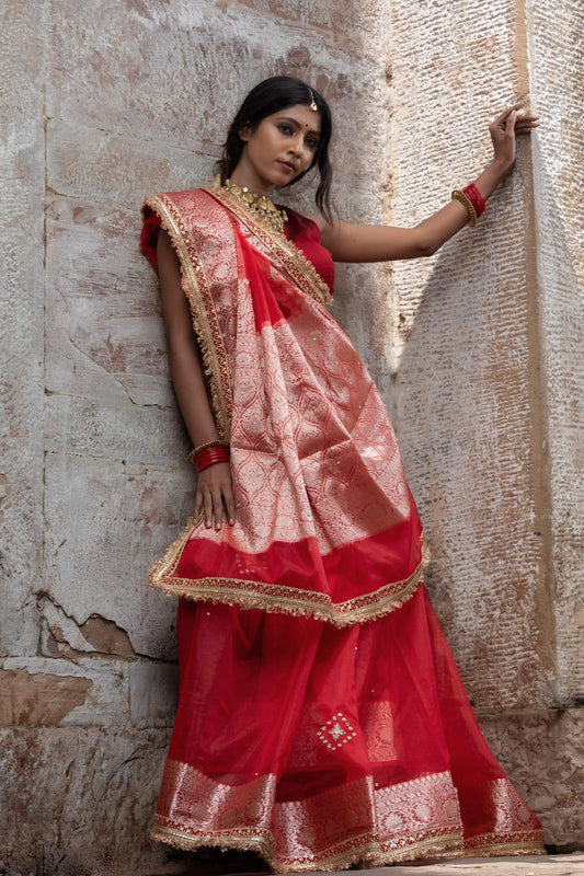 Ethereal Radiance — Organza Handwork Saree
