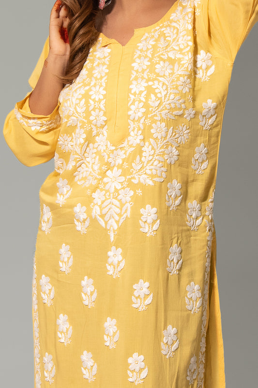 Noori Modal Kashmiri Daman Chikankari Kurti