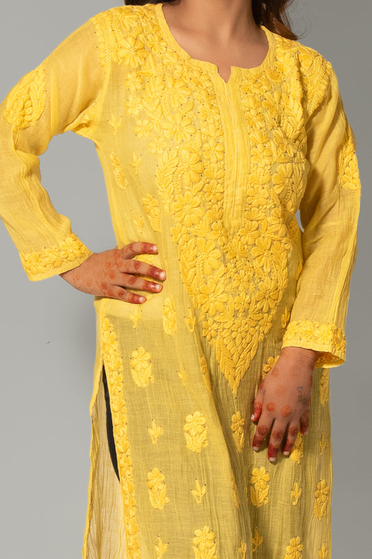 Noori Mul Chanderi Kashmiri Dyed Mukesh Kurti