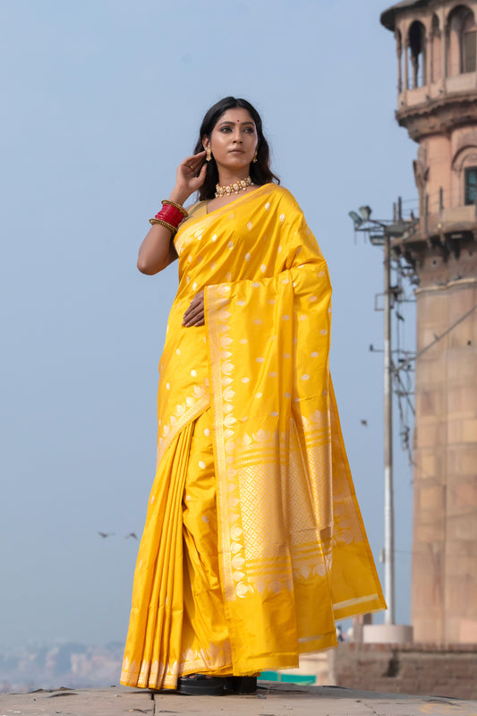 Pure Banarasi Handloom - Katan