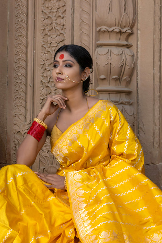 Pure Banarasi Handloom - Ardhachandra